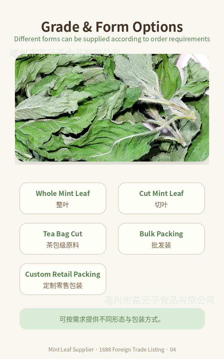 Dried Peppermint Leaf Bo He 薄荷叶 Herbal Tea Ingredient 500g key features