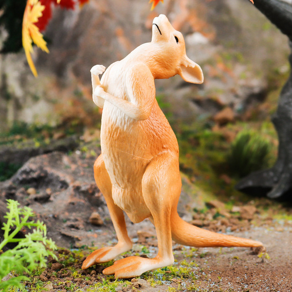 Kangaroo