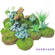 ���ÈAľ����̦�\��Ƥ��̦�b�䁈��ط����Ĕz����򿨲����W�t