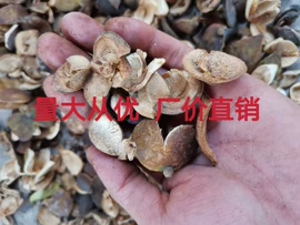 其他农业;植物性饲料;滤料