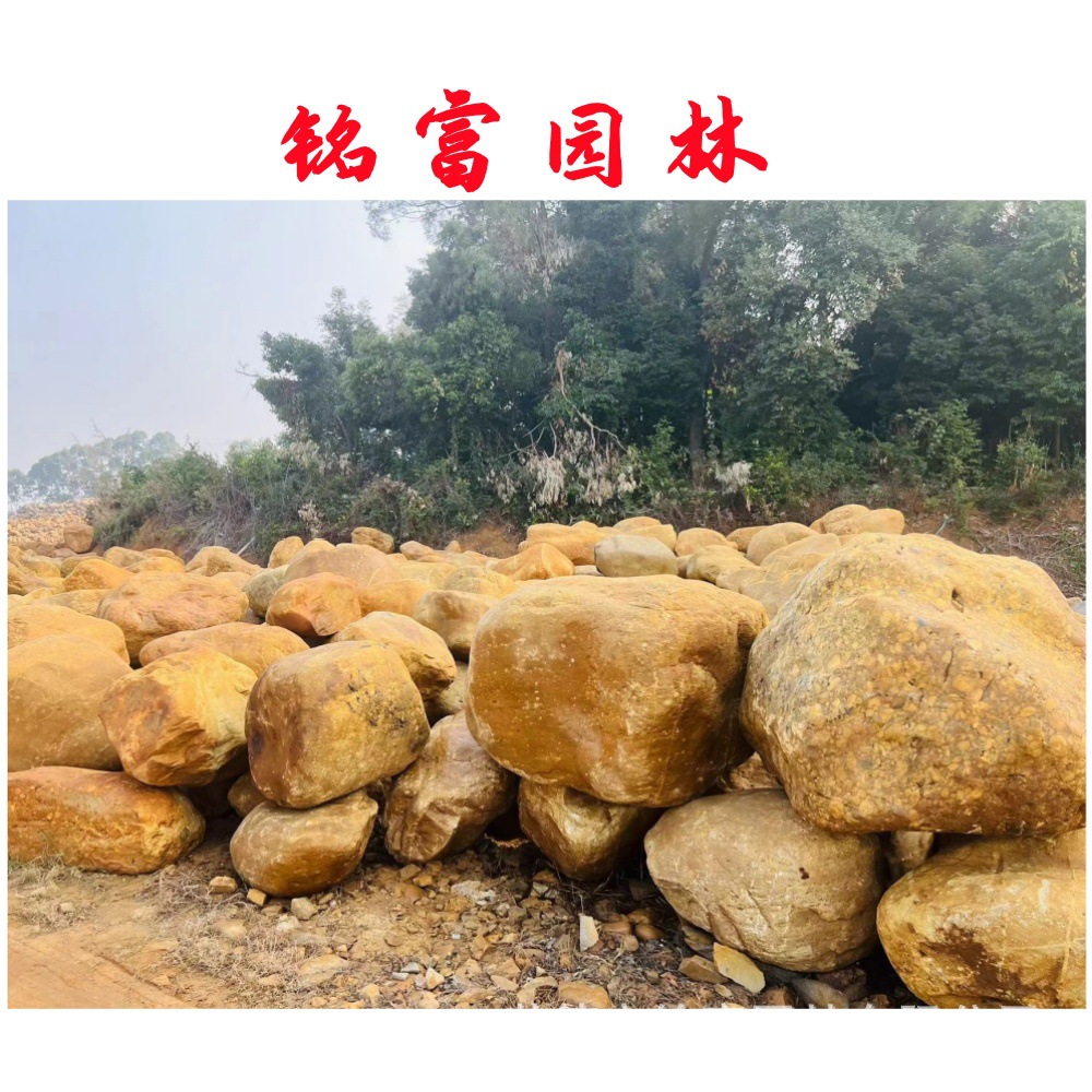黄蜡石草坪置放点缀石 广东黄蜡石自然石货源地 哪里有风景石批发