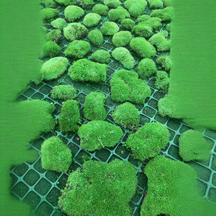 Immortal Moss Wall Block Moss White Hair Moss Large Gray Moss Moss Painting Plant Wall Green Moss Immortal Flower Green Wall