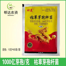 �ݲ�ѿ�ߗU�� �����߲�С����ݮ�׷۲���ù���P���ز皢����10��