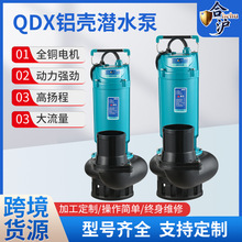 ��ˮ��220V�ߓP�̴�������ˮ�C�ӵ�ˮ��ȡˮ�Bֳ��ȱ��r�ó�ˮ�C