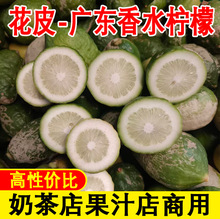 广东香水柠檬无籽手打柠檬茶专用奶茶店商用青柠水果鲜果新鲜现摘