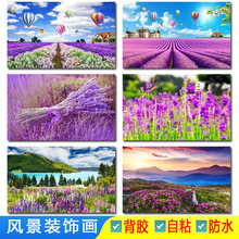 薰衣草风景海报画普罗旺斯唯美美景自然田园花朵图片卧室装饰贴画