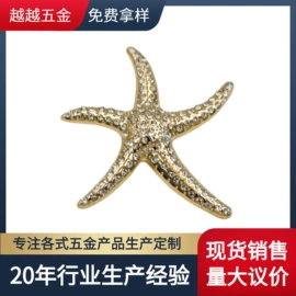 钮扣;皮带扣;胸针