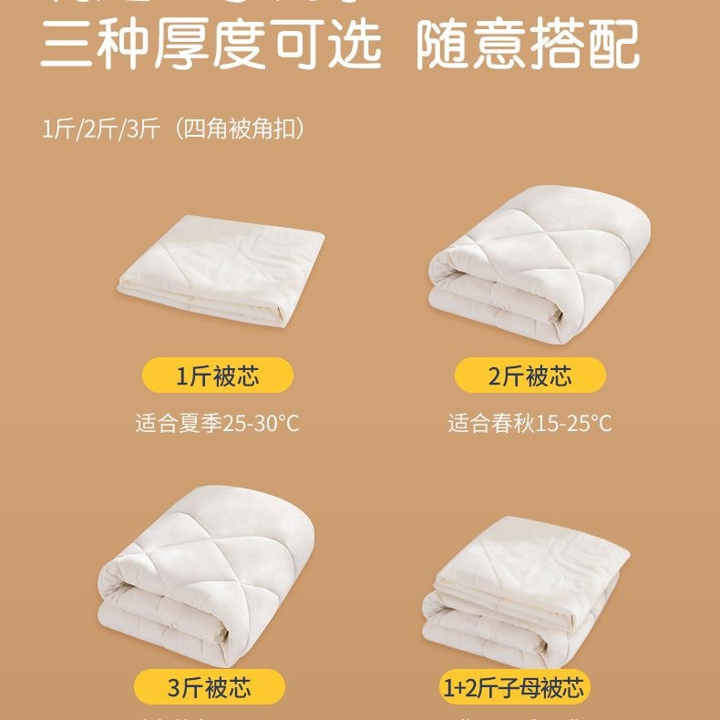 Children's Kindergarten Soybean Quilt Core Liner Three-Piece Set Cushion Pillow Core Four-Season Pure Color Baby Quilt E18