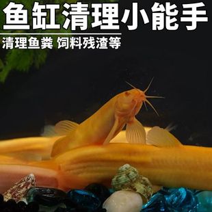 �坍�~�S�����q������~�^�p�~��ˮ�~���B���~�׽����q��ɫ���q�~