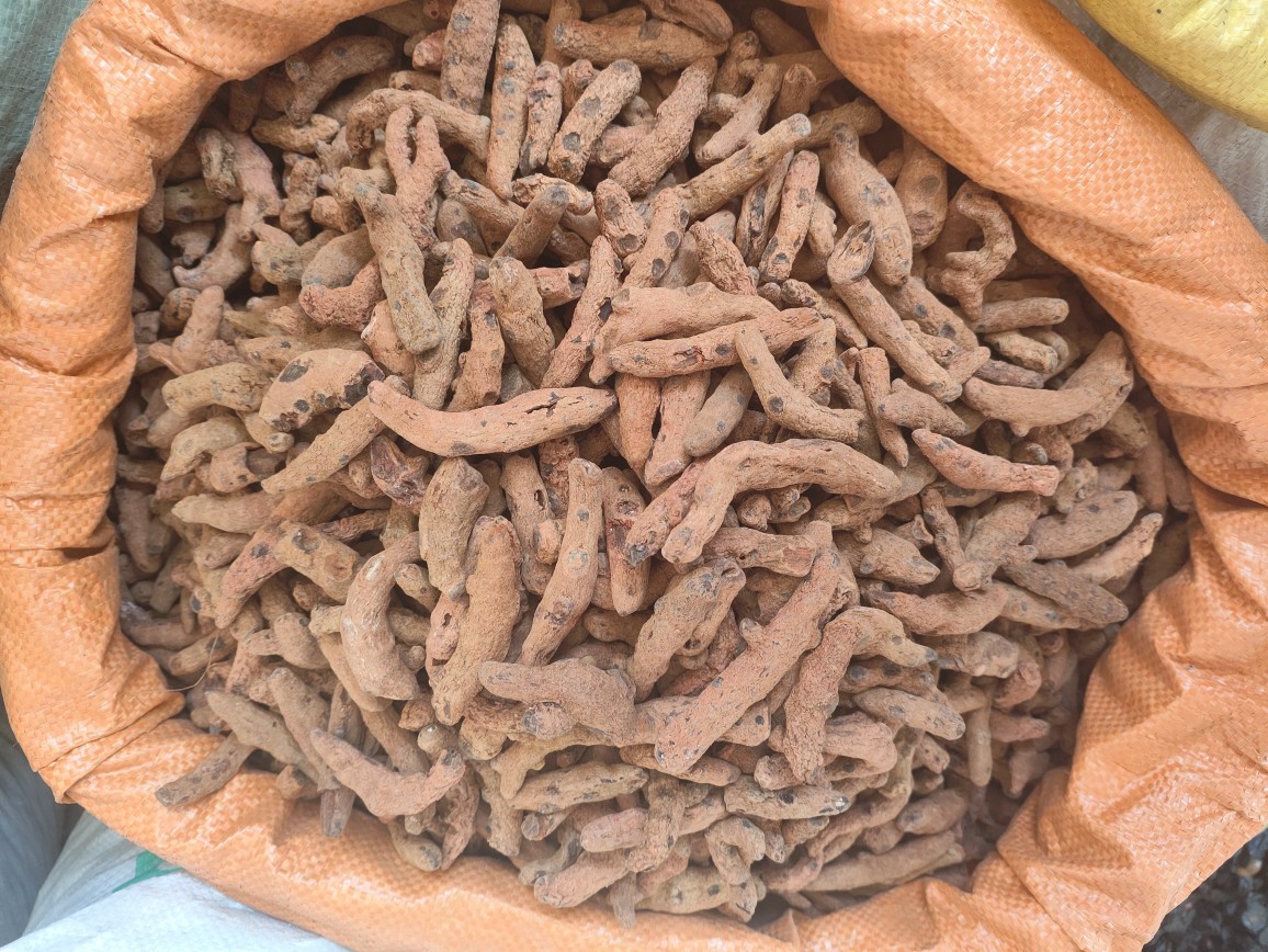 Xue San Qi (Blood Panax) — Dried Herbal Root, 250g Powder-Grade in use