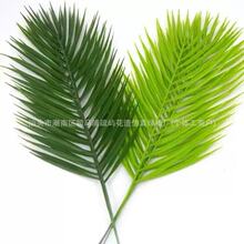 �����~�F���~ާ�ֲ��Gֲɢβ�������b���Ҿ��~���߲廨�F��