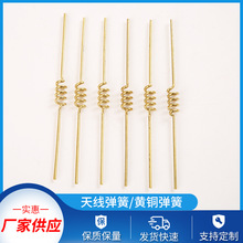 �S�~僽���·�����쾀���� �������~�쾀���� �p���S�~�쾀����