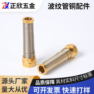 �S�~���{���y�����Ӳ��ܛ��ϵ���B���a�����p��ܲ��y�p����