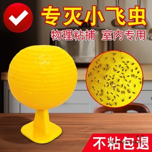 Fruit Fly Trap Small Flying Insect Killing Indoor Mosquito Nemesis Kitchen Locust Sticky Insect Ball to Trap Flies
