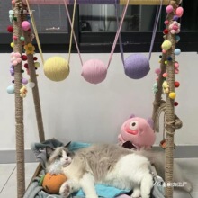 ���ֵ؈���ܼ��ö�Ͱ������ֹ�diy���ϰ���ɫ���K؈�C�b����