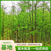 طNֲ@־Gˮɼ ֵ@G̳ɼ ɽɼƷN