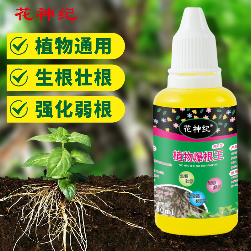 Rooting King Rapid Rooting Agent Explosive Root Seedling…