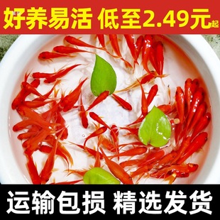 �^�p�~�ݽ��~С�͵�ˮ�ͻ���ˮ���B���~�w���B�J������~�t�a�~��