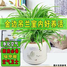 ��߅����m���Կ͏d�Gֲ����ȩֲ���k���҃Ȼ����ļ����������՚�