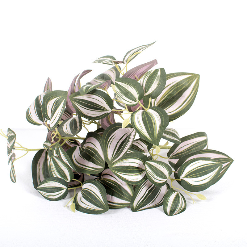 6-Cabeza de hierba de cejas