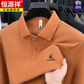 恒源祥2025春秋季新款棉质长袖t恤男翻领上衣男爸爸装打底polo衫