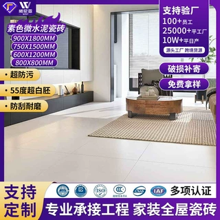 定制素色哑光微水泥仿古砖800x800客餐厅防滑地砖卫生间墙砖瓷砖
