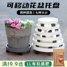 �����֬�Ƅ��бP���P���ϵ����f��݆������НL݆��ˮ�P�ױP