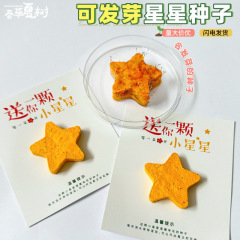 立体星星种子纸可种植种子发芽纸卡片节日商务活动伴手小礼物厂家