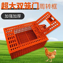 鸡用周转箱运输鸡笼加强型特大成鸡鸭鹅鸽兔运输笼筐成鸡笼塑料新