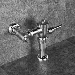 Suitable for to Hand-Pressed Toilet Flushing Valve, Foot-Operated Squat Toilet Flusher Hand-Pressed Valve Dc603Vlf/Lr