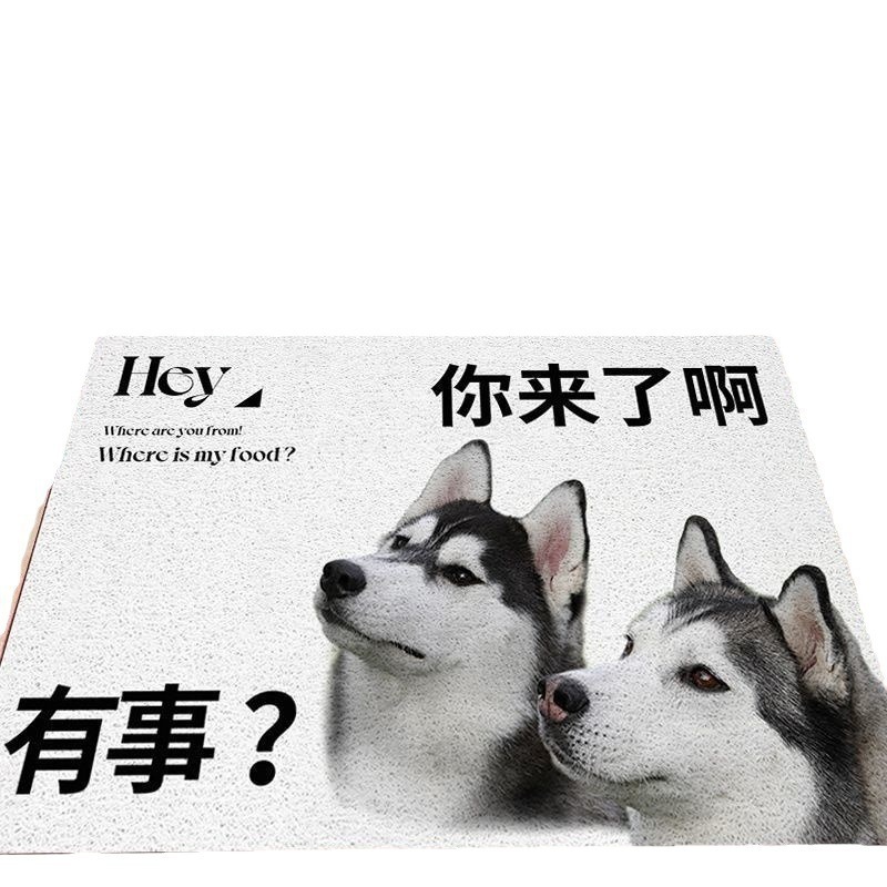 お笑い創意ペットが家に入るじゅうたんが生きて帰ってきたら、家庭の入り口に入る滑り止めのドアマットを敷くことができる|undefined
