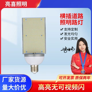 横插农村道路照明路灯LED光源E40螺口家用节能户外照明庭院灯具