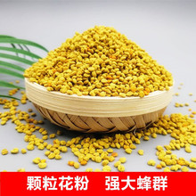 �Ͳ��s���w��ι���Ͳ��s���з���仨�������Ȼ�ຣ����ֱُ�۷�