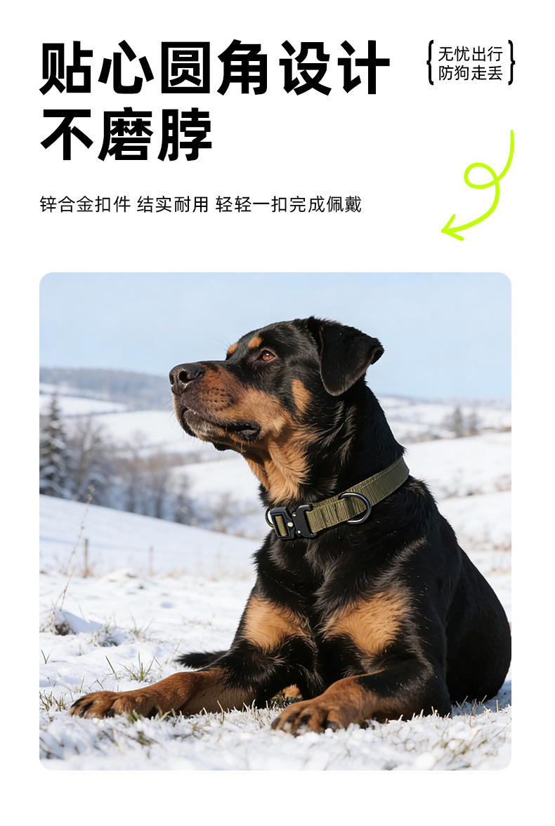O1CN01nEinZm1i2BacPhuIv_!!2220744654354-0-cib.jpg
