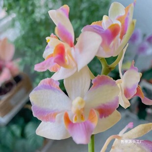 ���B�_������ֲ����ļ��������������m�����Դ��_����40