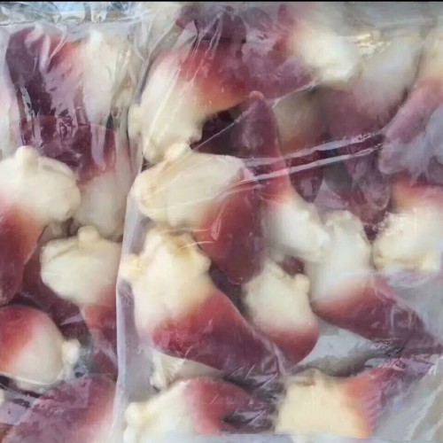 微信图片_20230322211550_副本