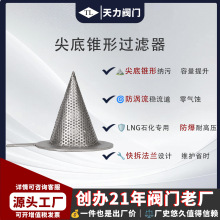 天力不锈钢高压大口径蒸汽化工管道泵前锥形过滤器反冲洗滤网GL4Z
