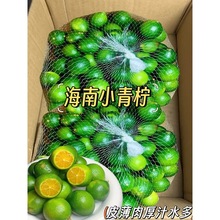 ����С��۽�����r���������Ƥ����֭ˮ������5������̲�����