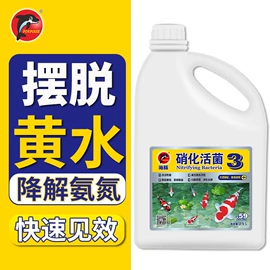 其它水族用品;观赏鱼饲料;造景/装饰