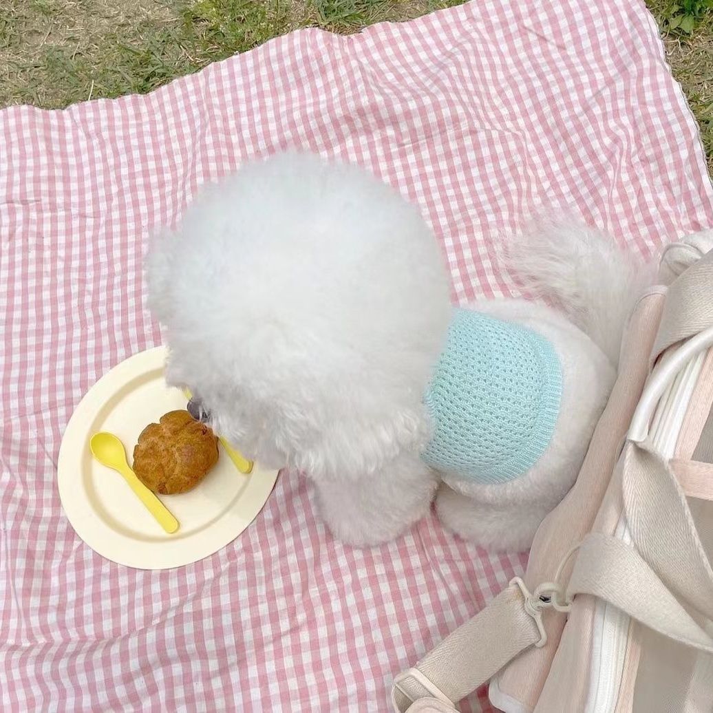 Šnaucer Kućni ljubimac Malo štene Pomeranac Ljetna pletena naramenica Štene Tanka odjeća Teddy Bichon