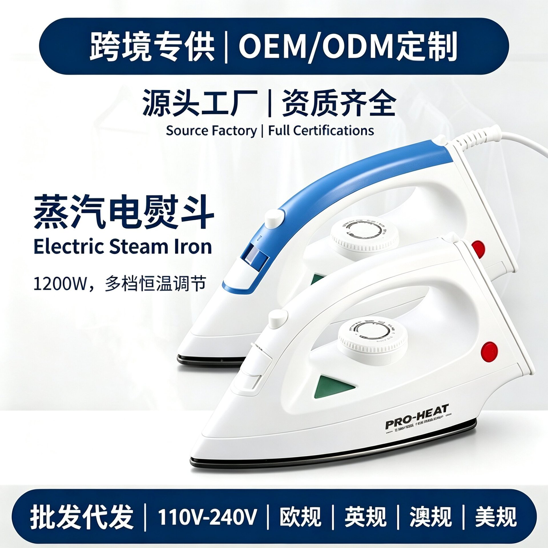 Cross-Border Us Standard 110V European Standard Hot-Selling Household Handheld Steam Electric Iron Small Portable Iron 1200W