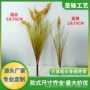 园林场地仿真工程麦穗