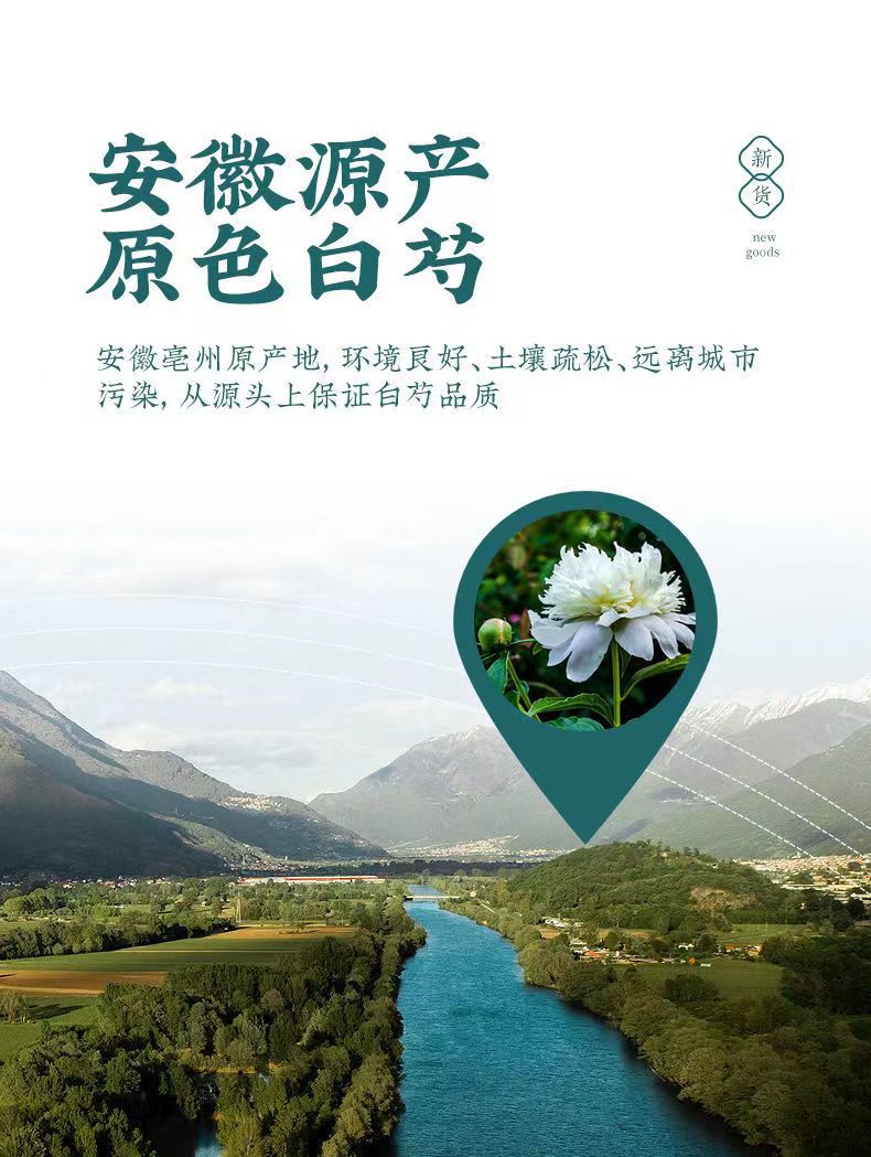 White Peony Root Bai Shao Sliced Dried Herb 500g Culinary and Decoction Use overview