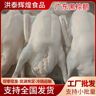 �V�|���ں����Z�����Z�Ƶ�Ƙǟ��D��͏d���Z�F�Z���Z�������l
