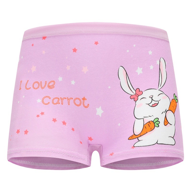 New 12 Pack Girls Underwear Cotton Class a Cartoon Girls Briefs Children Underwear Cotton Wholesale Manufacturers