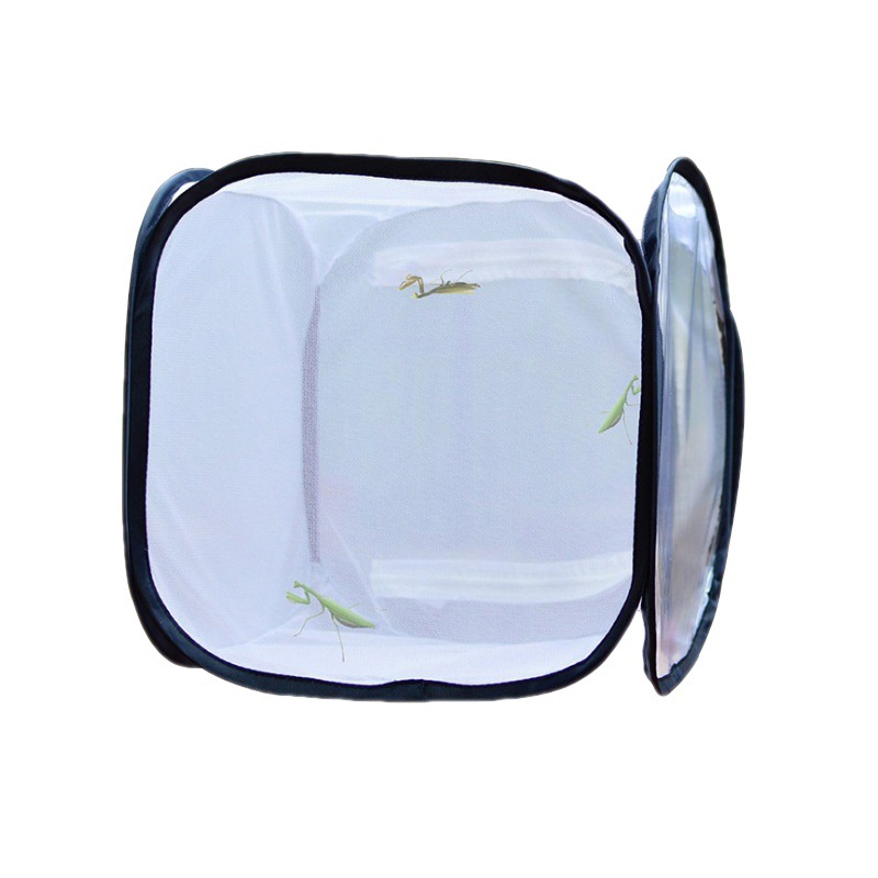 Jaula de mariposa directa de fábrica red de insectos jaula de mascotas plántulas de transmisión de luz caja de cría jaula de insectos plegable