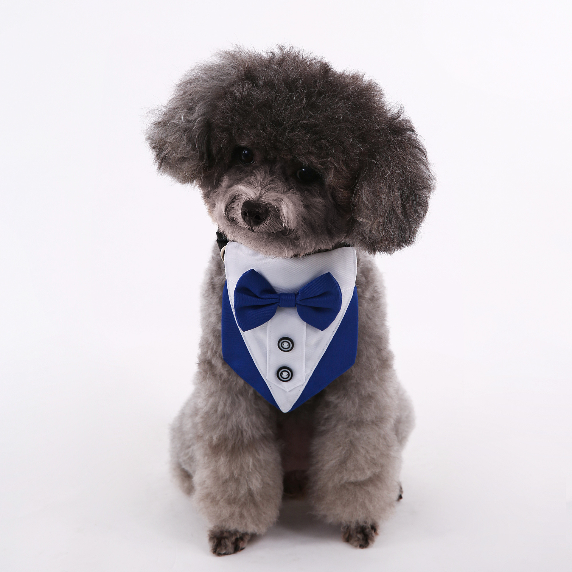 Transfronterizos nuevos trajes de boda de estilo británico perros y gatos toallas de saliva de boda toallas de triángulo para mascotas bufandas suministros