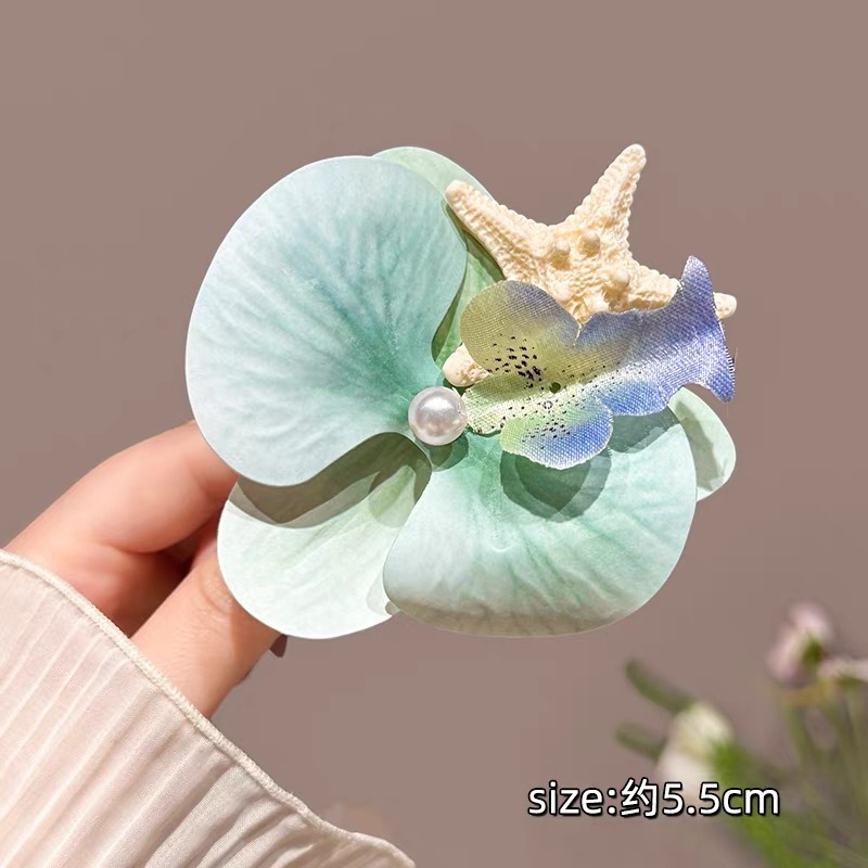 호접란 불가사리 그린