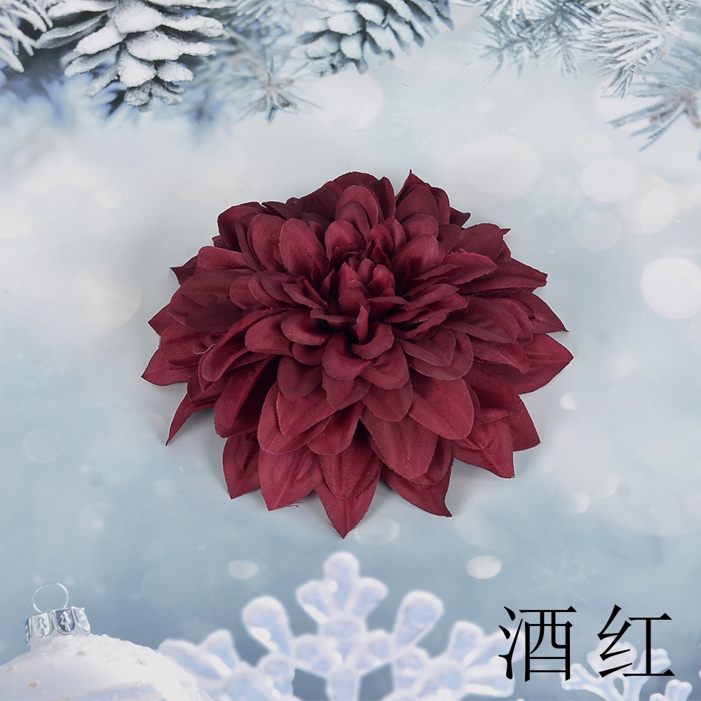 버건디 SL 큰 epiphyllum 꽃 머리