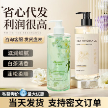 白茶香氛洗发水山茶花氨基酸洗发乳沐浴露持久留香保湿洗护套装